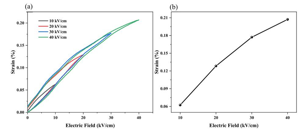 DLP Light Curing 3D Printing Technology of Lead Zirconate Titanate Piezoelectric Ceramics